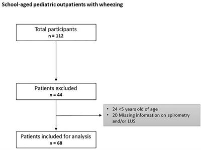 Use of lung ultrasound in school-aged children with wheezing